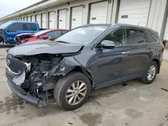 5XYPG4A54GG150127 2016 KIA SORENTO