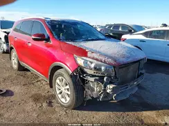 5XYPG4A54HG237656 2017 KIA SORENTO