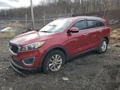 5XYPG4A54HG280216 2017 KIA SORENTO