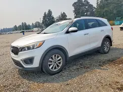 5XYPG4A55GG034256 2016 KIA SORENTO