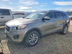 5XYPG4A55GG168569 2016 KIA SORENTO