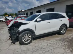 5XYPG4A55HG224897 2017 KIA SORENTO