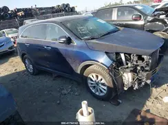 5XYPG4A55LG623981 2020 KIA SORENTO