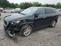5XYPG4A56HG210524 2017 KIA SORENTO