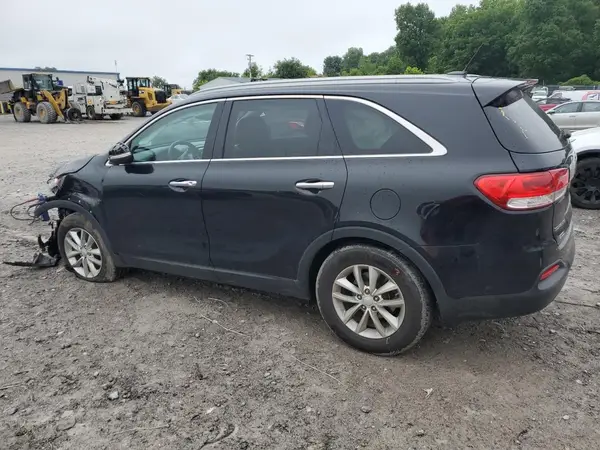 5XYPG4A56HG210524 2017 KIA SORENTO - Image 2