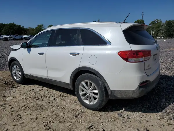 5XYPG4A56HG219448 2017 KIA SORENTO - Image 2