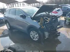 5XYPG4A56LG638084 2020 KIA SORENTO