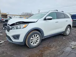 5XYPG4A57HG197542 2017 KIA SORENTO