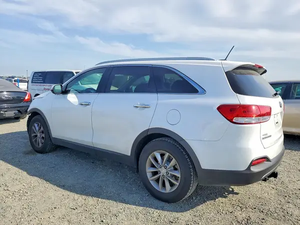 5XYPG4A57HG210189 2017 KIA SORENTO - Image 2