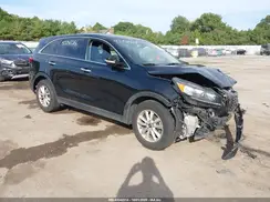 5XYPG4A57LG629569 2020 KIA SORENTO