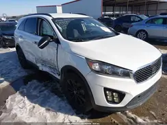 5XYPG4A57LG695216 2020 KIA SORENTO