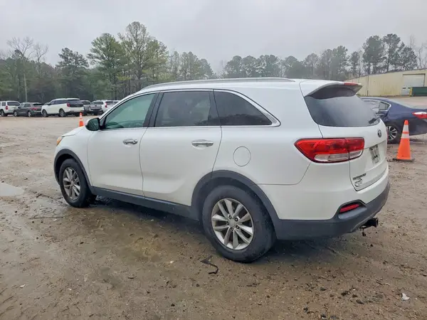 5XYPG4A58GG036499 2016 KIA SORENTO - Image 2