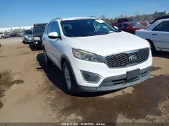 5XYPG4A58HG224795 2017 KIA SORENTO