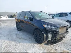 5XYPG4A58LG675010 2020 KIA SORENTO