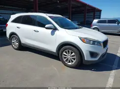 5XYPG4A59GG151449 2016 KIA SORENTO