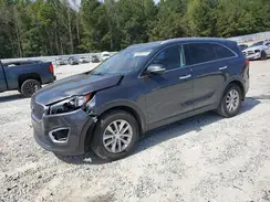 5XYPG4A59HG251956 2017 KIA SORENTO