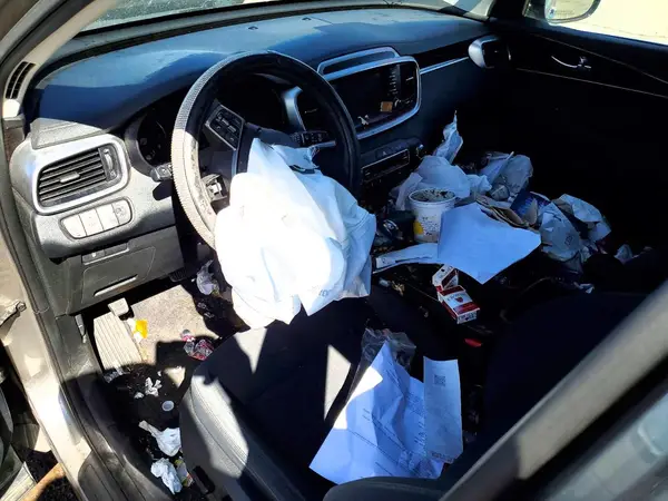 5XYPG4A59KG489572 2019 KIA SORENTO - Image 8