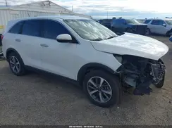 5XYPG4A59LG612935 2020 KIA SORENTO