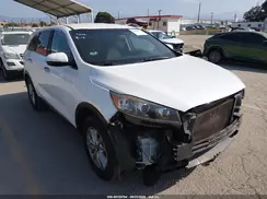 5XYPG4A59LG626690 2020 KIA SORENTO