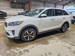 5XYPG4A59LG689532 2020 KIA SORENTO