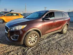 5XYPG4A5XGG025102 2016 KIA SORENTO