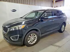 5XYPG4A5XGG111221 2016 KIA SORENTO