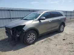 5XYPG4A5XKG491556 2019 KIA SORENTO