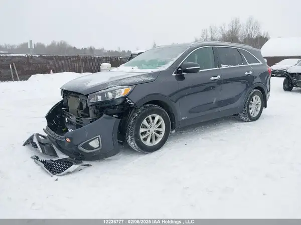 5XYPGDA11GG051178 2016 KIA SORENTO - Image 2