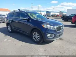 5XYPGDA11HG331572 2017 KIA SORENTO