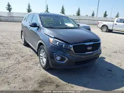 5XYPGDA12HG269292 2017 KIA SORENTO