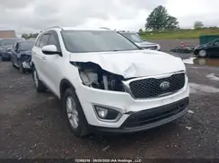 5XYPGDA12JG389146 2018 KIA SORENTO
