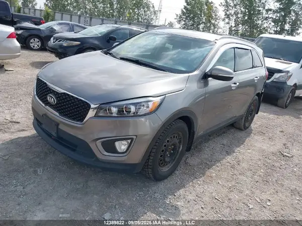 5XYPGDA15GG105887 2016 KIA SORENTO - Image 2