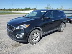 5XYPGDA15HG270873 2017 KIA SORENTO