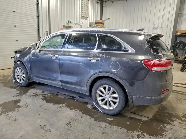 5XYPGDA18HG305325 2017 KIA SORENTO - Image 2