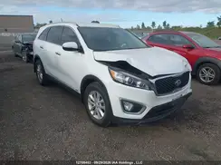 5XYPGDA19GG153179 2016 KIA SORENTO