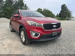 5XYPGDA1XGG102158 2016 KIA SORENTO