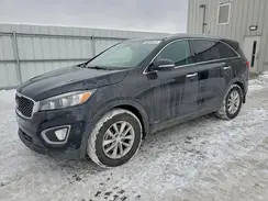 5XYPGDA1XGG162179 2016 KIA SORENTO