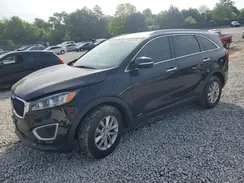 5XYPGDA30GG033174 2016 KIA SORENTO