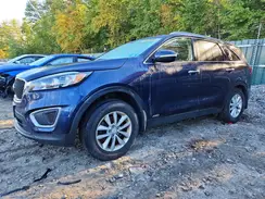 5XYPGDA30GG036916 2016 KIA SORENTO