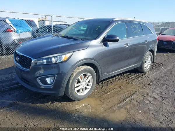 5XYPGDA30GG067079 2016 KIA SORENTO - Image 2