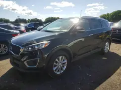5XYPGDA30HG200165 2017 KIA SORENTO