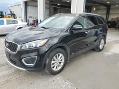 5XYPGDA30HG240830 2017 KIA SORENTO