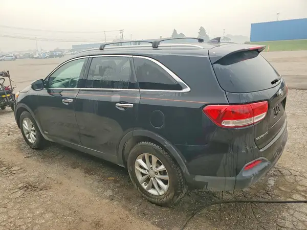5XYPGDA30HG276436 2017 KIA SORENTO - Image 2