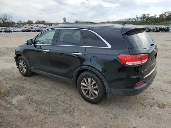 5XYPGDA30HG303831 2017 KIA SORENTO - Image 2