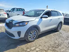 5XYPGDA30KG500148 2019 KIA SORENTO