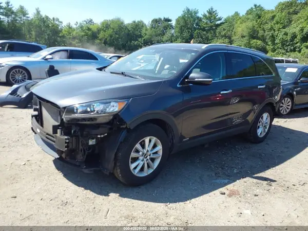 5XYPGDA30KG552587 2019 KIA SORENTO - Image 2