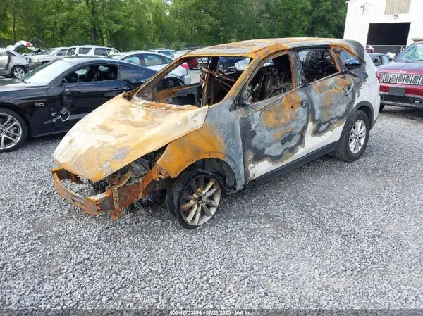 5XYPGDA30KG574816 2019 KIA SORENTO - Image 2