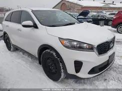 5XYPGDA30LG654313 2020 KIA SORENTO