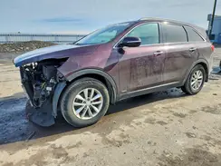 5XYPGDA31GG020529 2016 KIA SORENTO