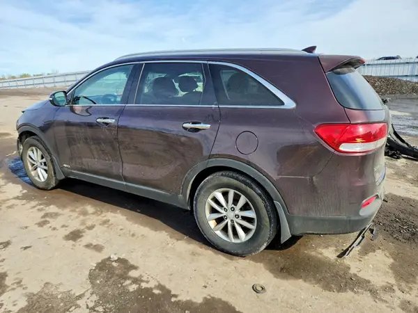 5XYPGDA31GG020529 2016 KIA SORENTO - Image 2